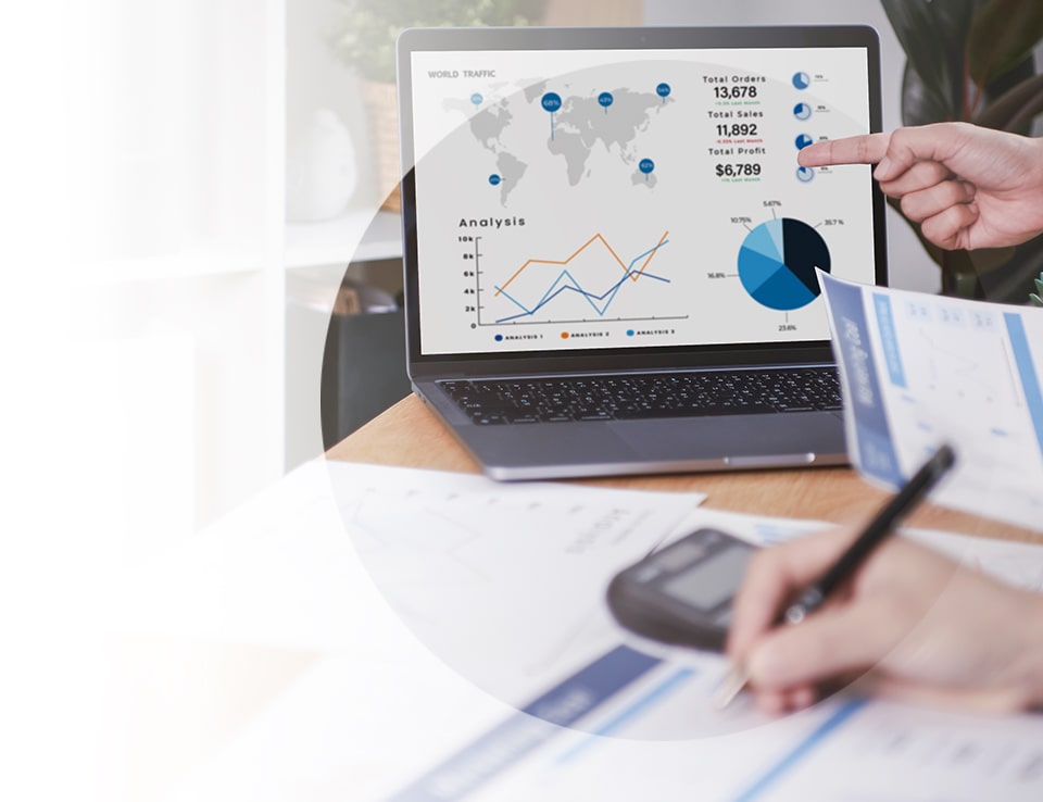 Ecommerce SEO Services