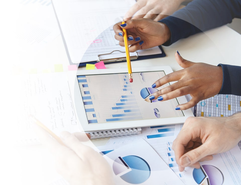 Case Studies Content Services
