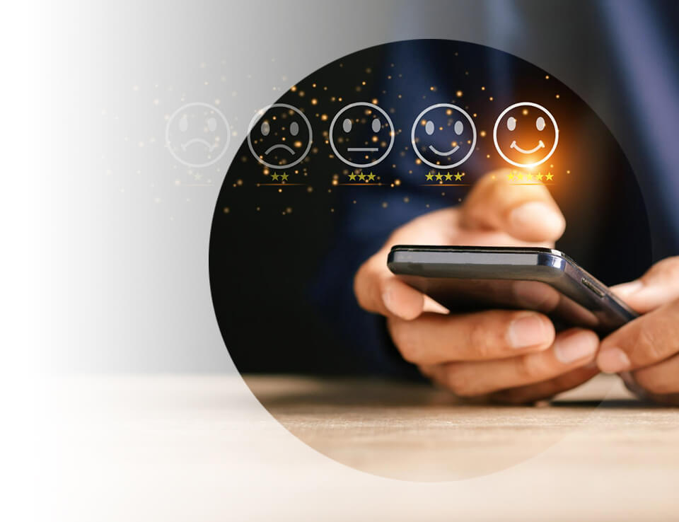 Online Reputation Management Services